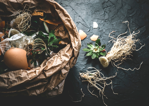 Biogas e biometano, Eow ammesso negli impianti